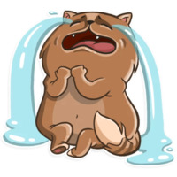 Кошачья коллекция