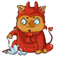 Кошачья коллекция