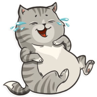 Кошачья коллекция
