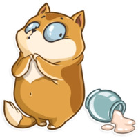 Кошачья коллекция