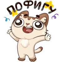 Котик