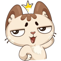 Котик
