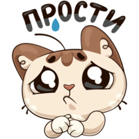 Котик