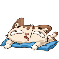 Котик