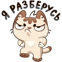 Котик
