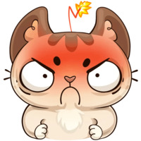 Котик