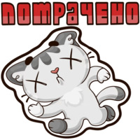 Котик