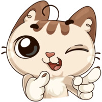 Котик