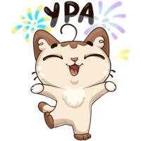 Котик