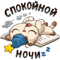 Котик