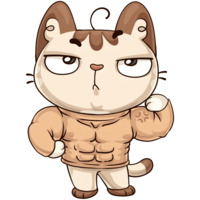 Котик