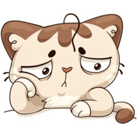 Котик