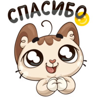 Котик