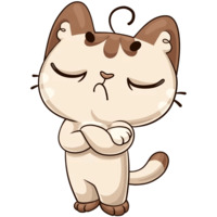 Котик