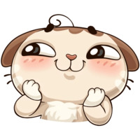 Котик