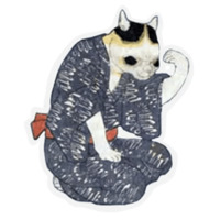 Котокартины