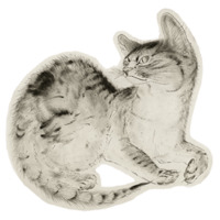 Котокартины