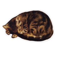 Котокартины