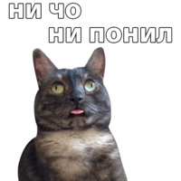 Котичи