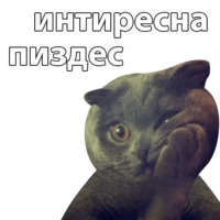 Котичи