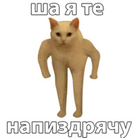 Котичи