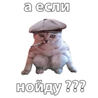 Котичи