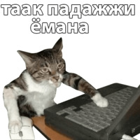 Котичи