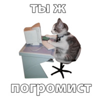 Котичи