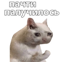 Котичи