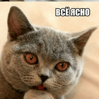 Котик Цмок