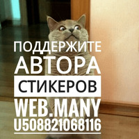Котик Цмок