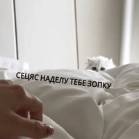 Котик Цмок