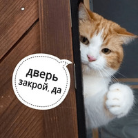 Котик Цмок 2