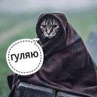 Котик Цмок 2