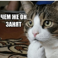 Котик Цмок 2