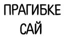 KYRGYZBUY