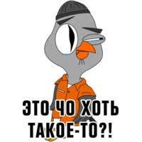 Подозрительная сова