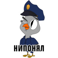 Подозрительная сова