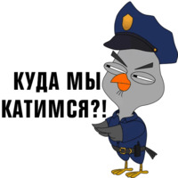Подозрительная сова
