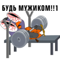 Подозрительная сова