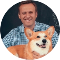Welsh Corgi