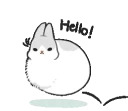 Machiko rabbit