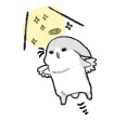 Machiko rabbit