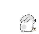 Machiko rabbit