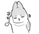 Machiko rabbit
