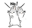 Machiko rabbit