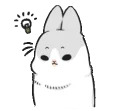 Machiko rabbit