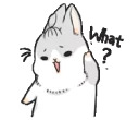Machiko rabbit