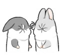 Machiko rabbit