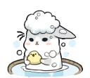Machiko rabbit
